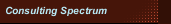 Consulting Spectrum